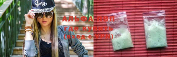 амф Покачи