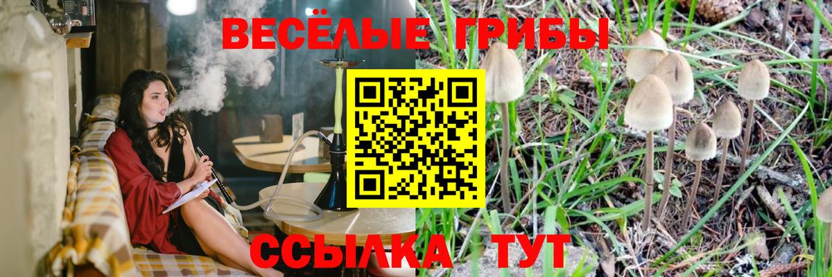 Псилоцибиновые грибы MAGIC MUSHROOMS  Северобайкальск 