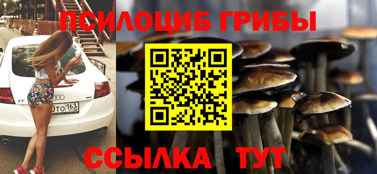Псилоцибиновые грибы Psilocybe  Галлюциногенные грибы Cubensis  Вход с VPN  Северобайкальск 
